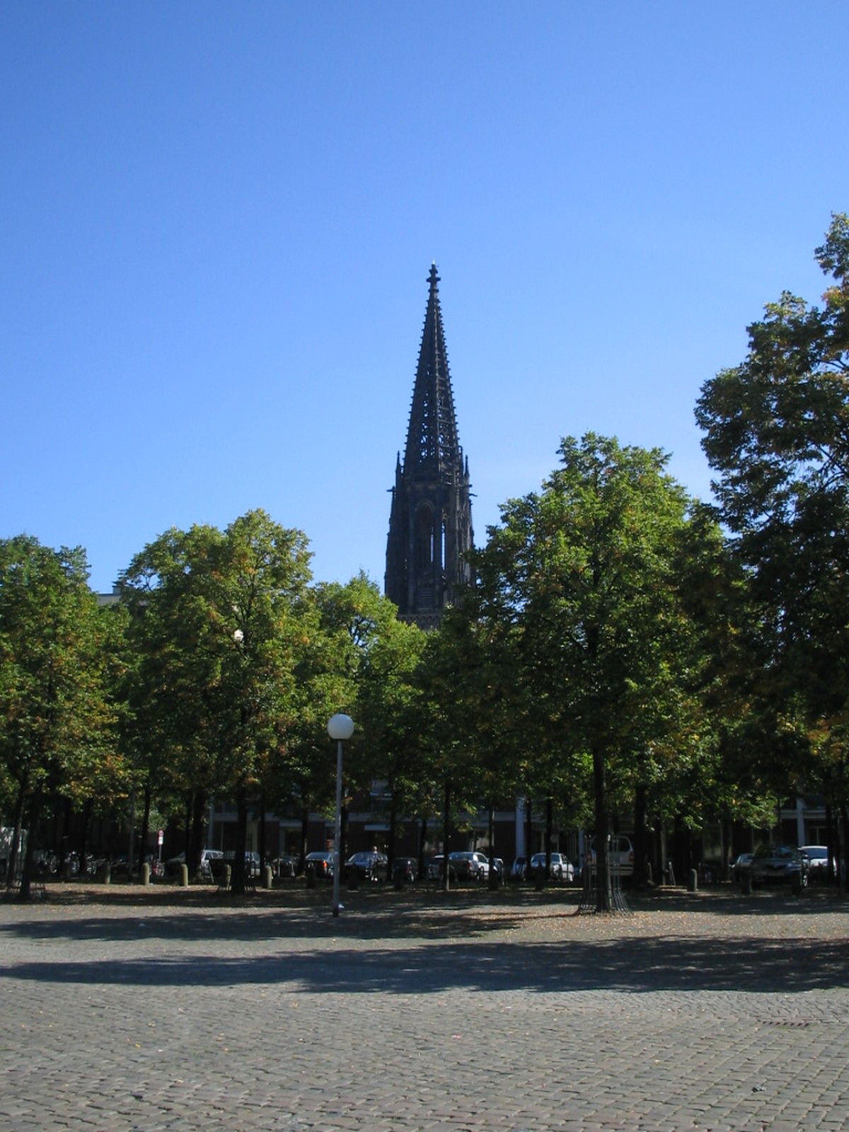 Muenster